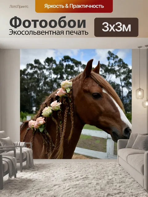 Фотообои Лошадь