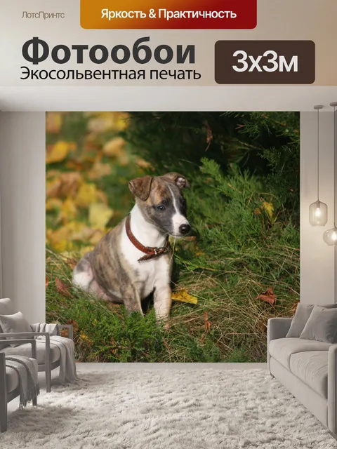 Фотообои Природа