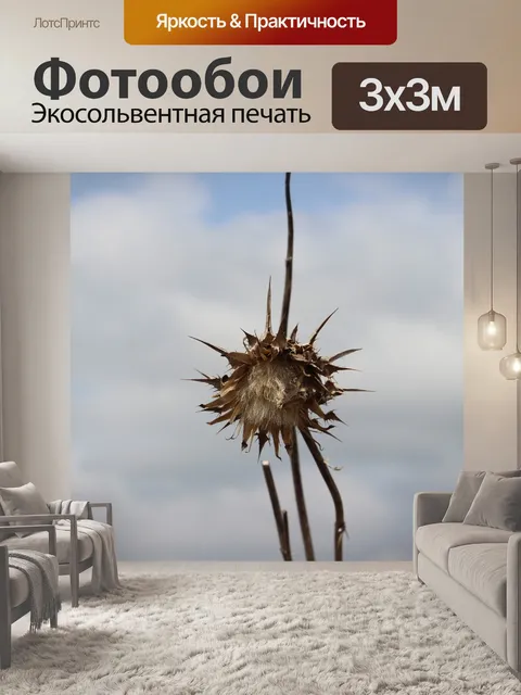 Фотообои Природа
