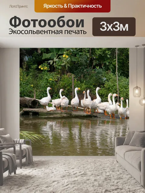 Фотообои Природа