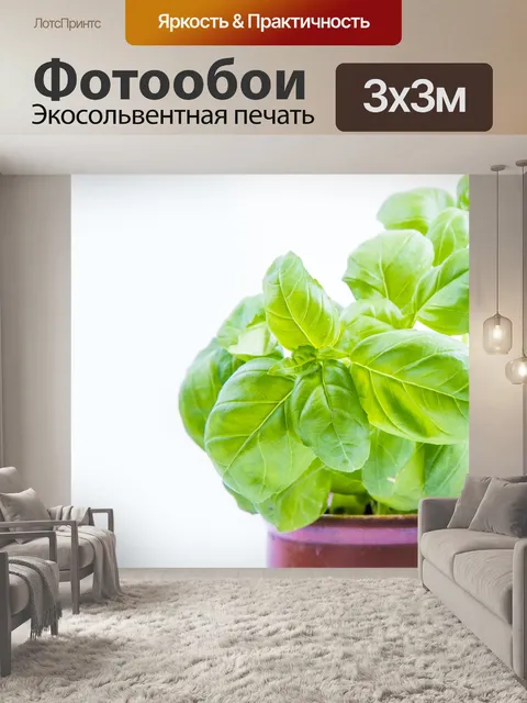 Фотообои Бэзил