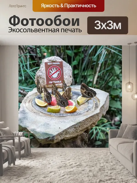 Фотообои Бабочки