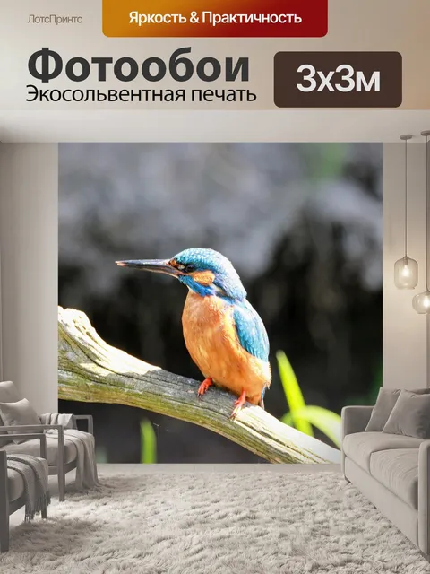 Фотообои Птицы