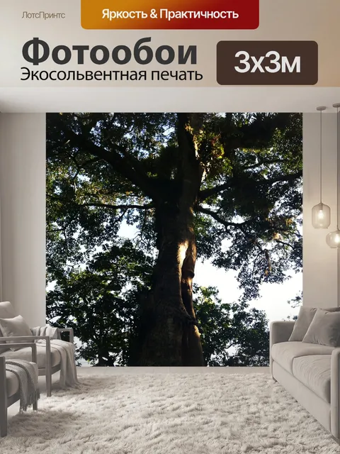 Фотообои Деревья
