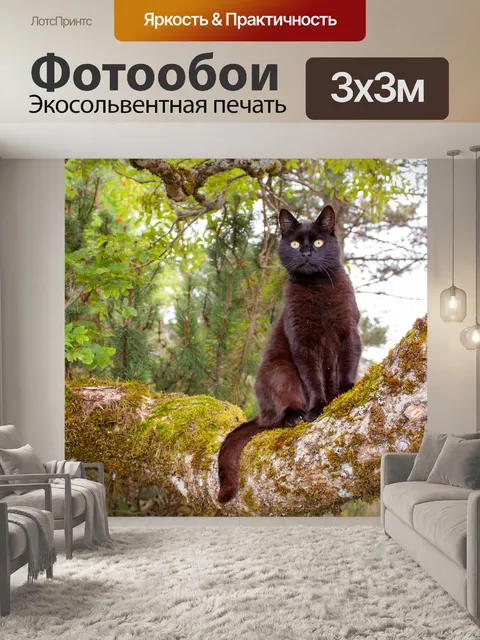 Фотообои Дерево