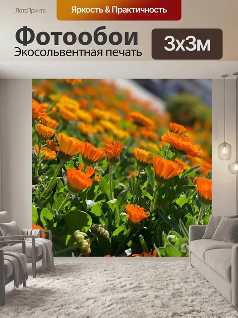 Фотообои Цветы