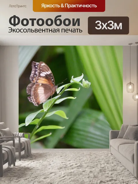 Фотообои Бабочка