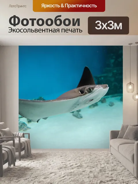 Фотообои Морской