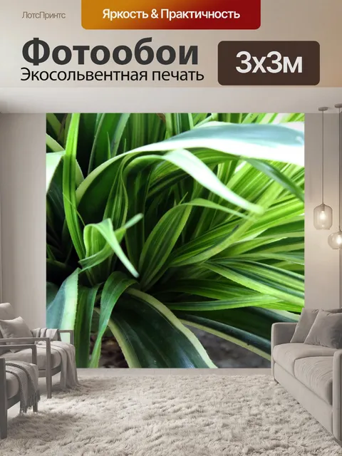 Фотообои зеленые длинные листья