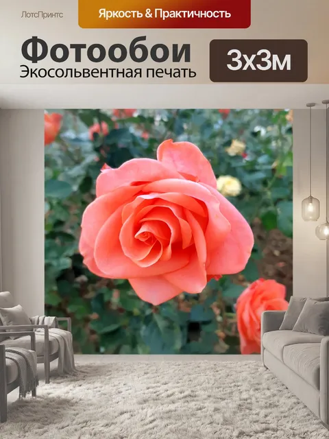 Фотообои Розы