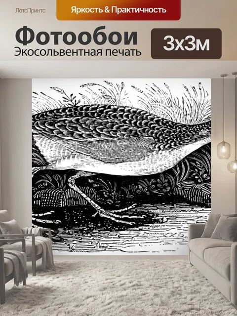 Фотообои Коростель