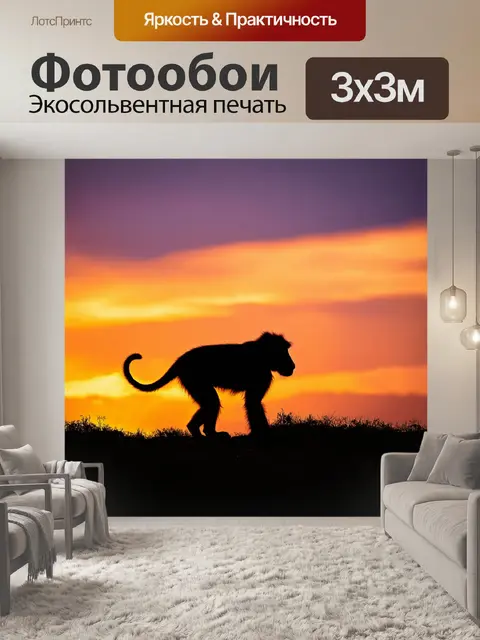 Фотообои вдалеке старый бабуин стоит на открытой поляне