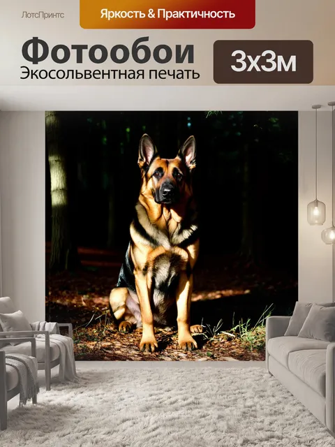 Фотообои в полутёмном лесу старшая немецкая овчарка