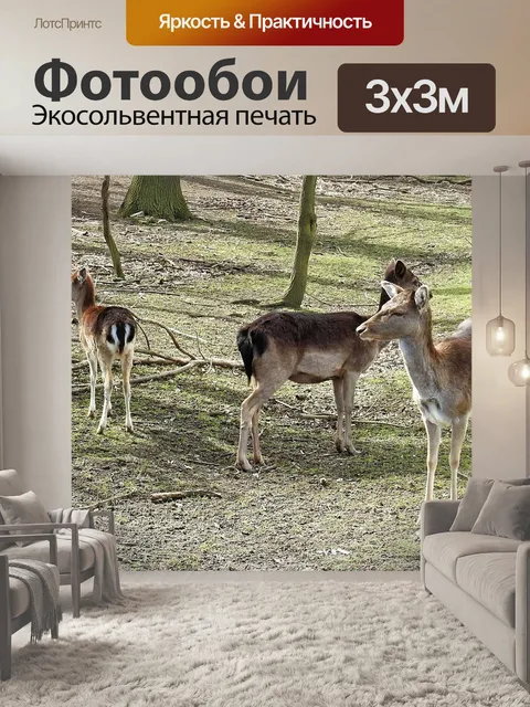 Фотообои Олень