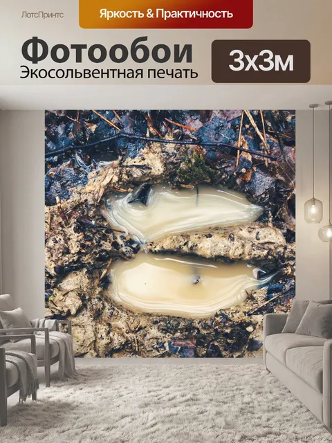 Фотообои Животное