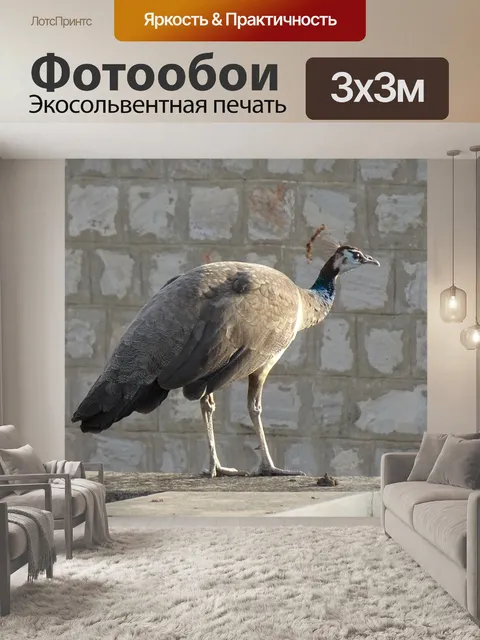 Фотообои Птица