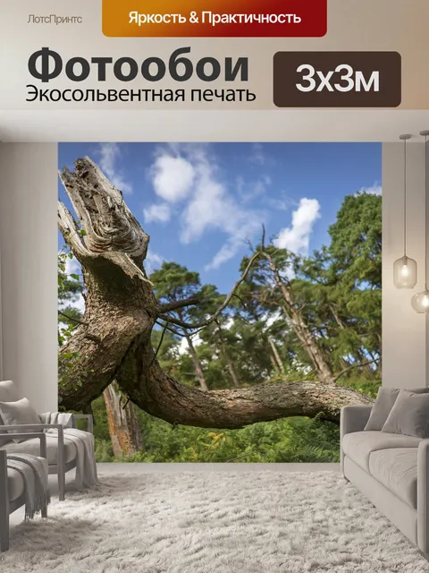 Фотообои Лес