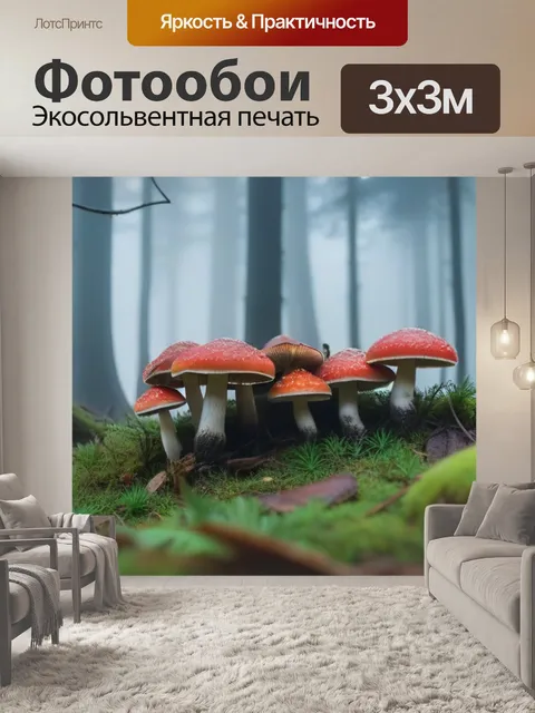 Фотообои лес с грибы, окутанными утренним туманом