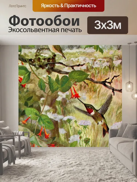 Фотообои Колибри с рубиновым горлом