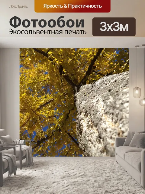 Фотообои Дерево