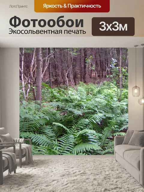 Фотообои Папоротники