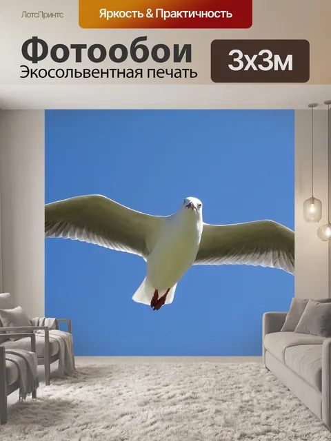Фотообои Птица