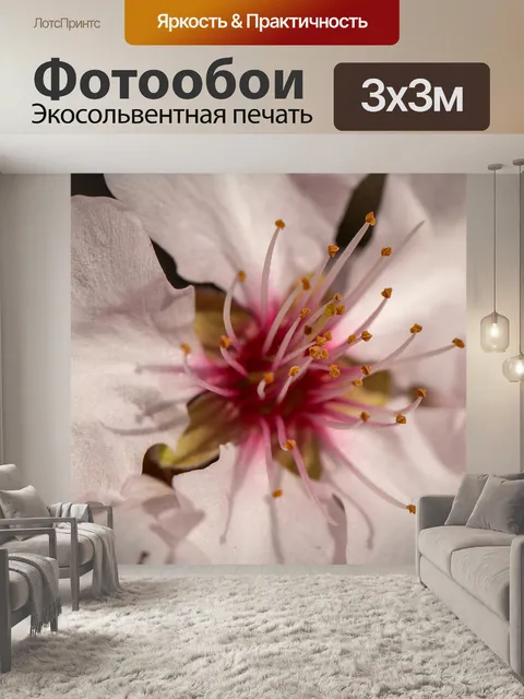 Фотообои Цветок