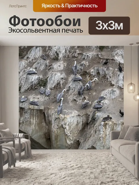 Фотообои пеликан