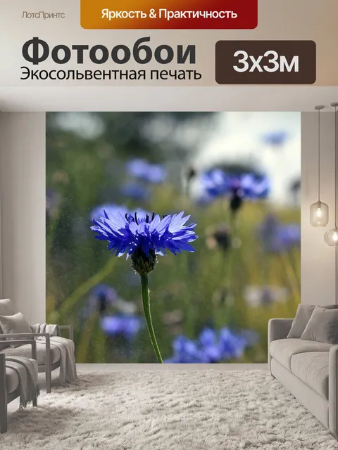 Фотообои Цветы