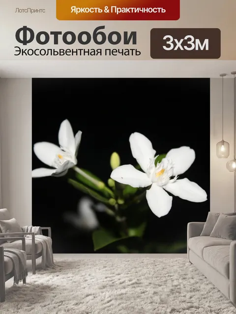 Фотообои Цветы