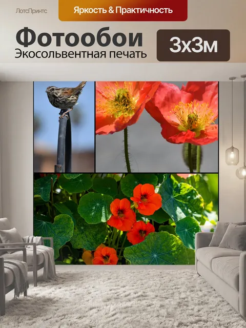 Фотообои коллаж из цветов и воробьев