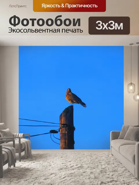 Фотообои Птицы
