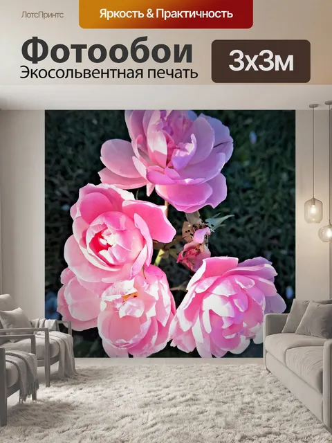 Фотообои Розы