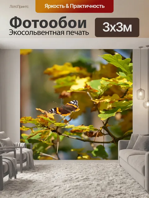 Фотообои Бабочка