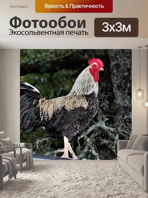 Фотообои Причудливый петух на вершине сарая