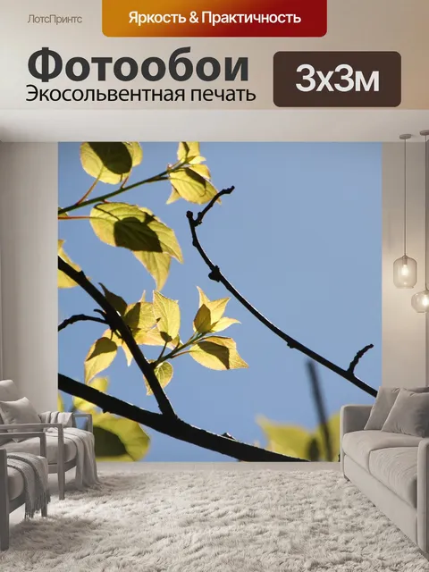 Фотообои Дерево