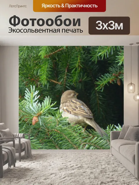 Фотообои Воробей