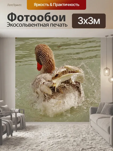 Фотообои Гусь
