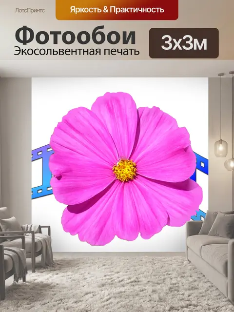 Фотообои Фильм Стриптиз и т.д ... 4