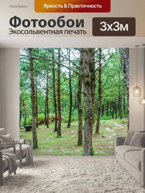 Фотообои Национальный парк Фуруа, Лоэй Таиланд