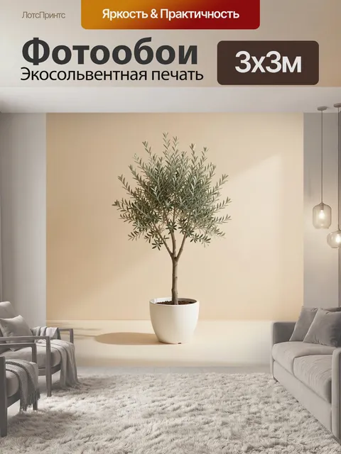 Фотообои Оливковое дерево в горшке