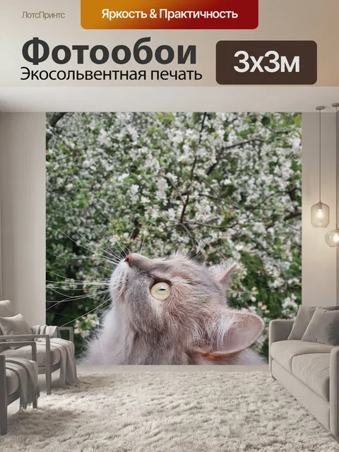 Фотообои Россия
