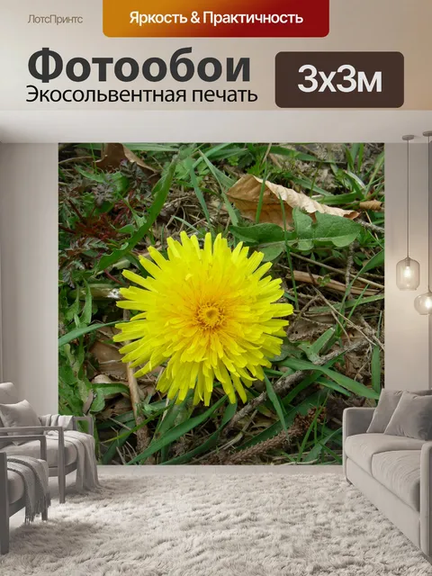 Фотообои Одуванчик