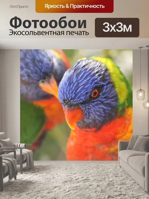 Фотообои Попугаи