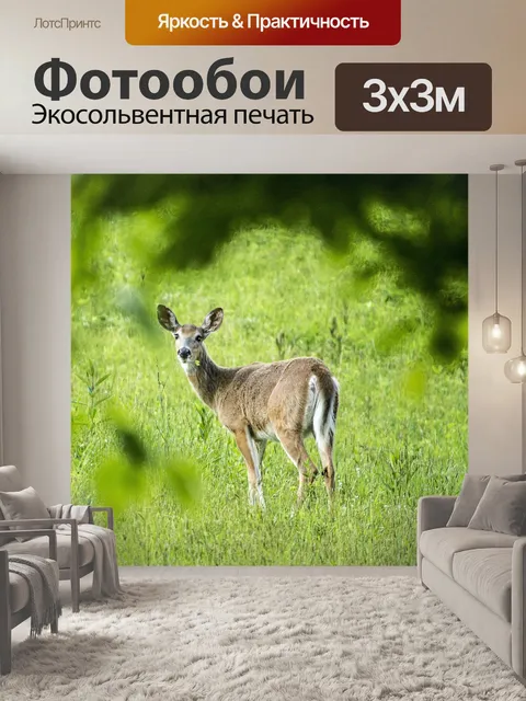 Фотообои Олень