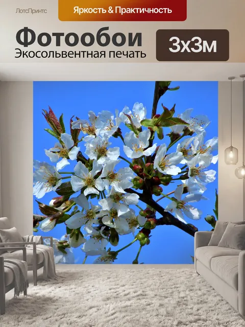 Фотообои Цветы