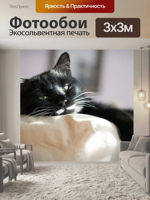 Фотообои Кошка