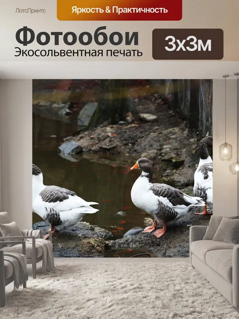 Фотообои Гуси