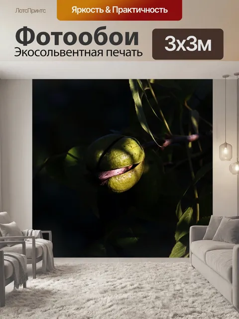 Фотообои солнечный свет на спелом орехе пекан