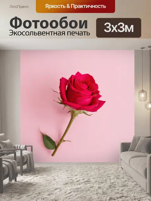Фотообои розы в стиле минимализм